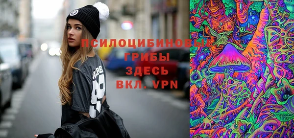эйфоретик Алексин
